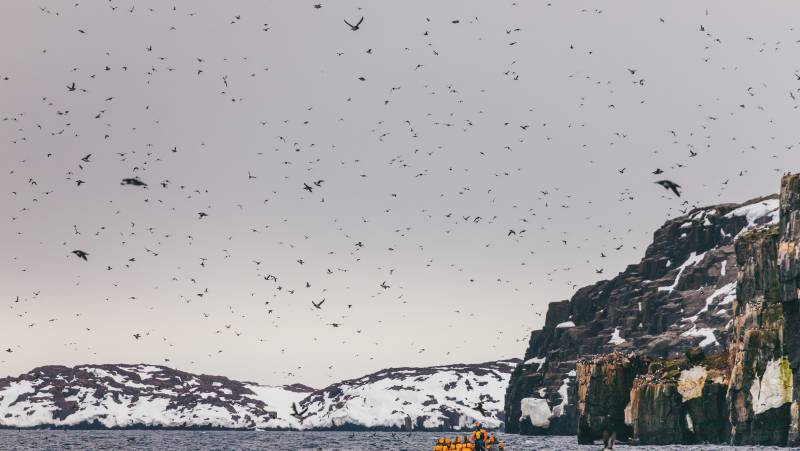 Spitsbergen Circumnavigation: A Rite of Passage