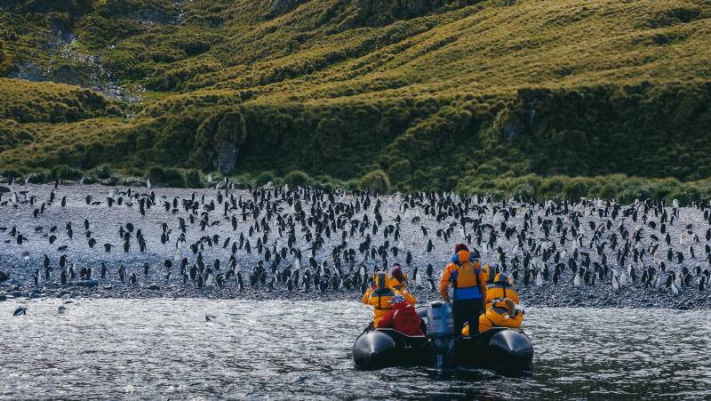Antarctic Express: Fly the Drake