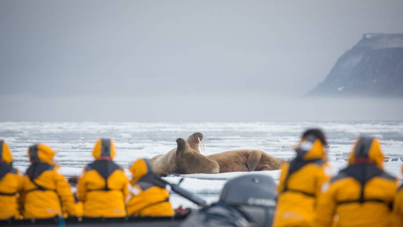 Arctic Saga: Spitsbergen, Faroes & Jan Mayen