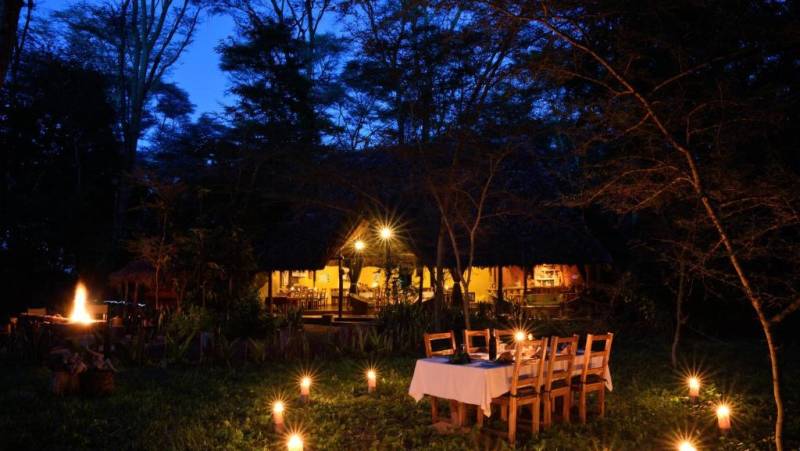 Safari Add-on Tour – after Lemosho Route