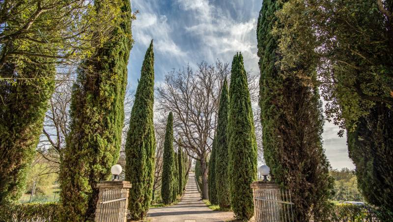 Walking in Rome, Assisi and Umbria – Premium Adventure
