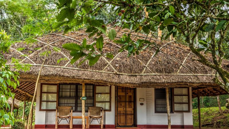 India’s North & South – Premium Adventure