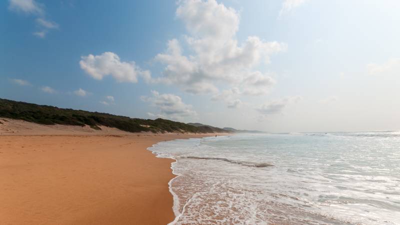 Southern Africa Safari: Kruger & Coast