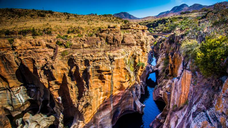 Southern Africa Safari: Kruger & Coast