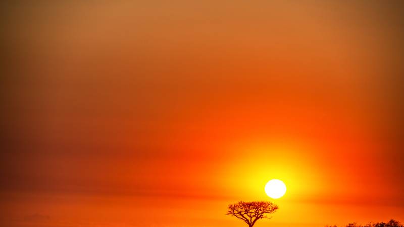 Southern Africa Safari: Kruger & Coast