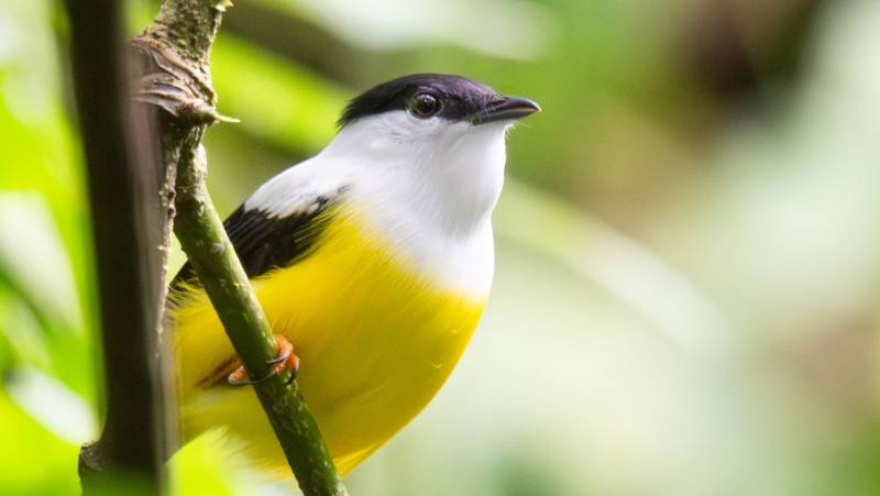 Discover Costa Rica – Coastal Edition