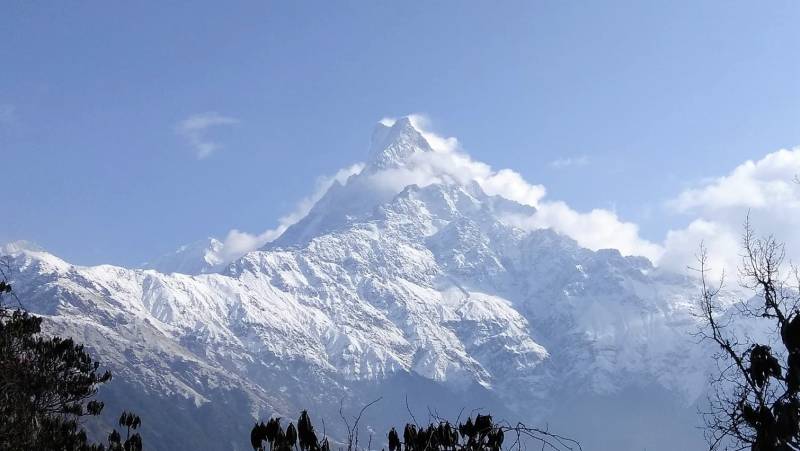 Annapurna to Chitwan: Walks & Wildlife