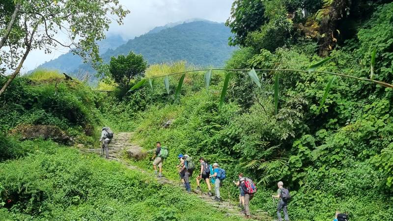 Annapurna to Chitwan: Walks & Wildlife