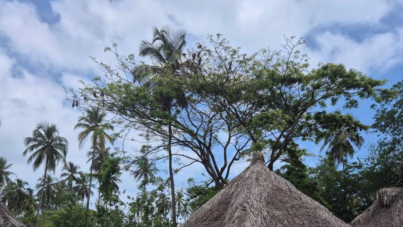 Colombia: Culture, Coffee & Caribbean