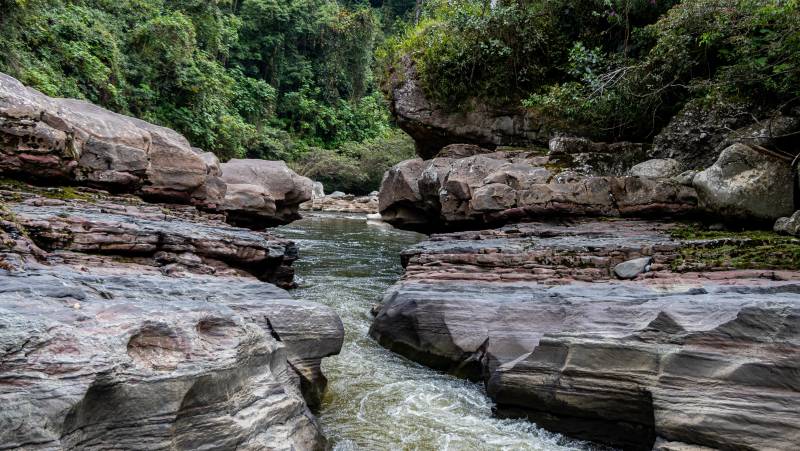 Colombia: Culture, Coffee & Caribbean