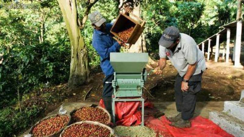 Colombia: Culture, Coffee & Caribbean