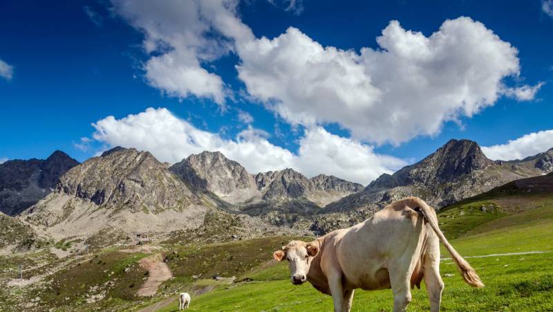 Walking the Rugged Pyrenees of Andorra