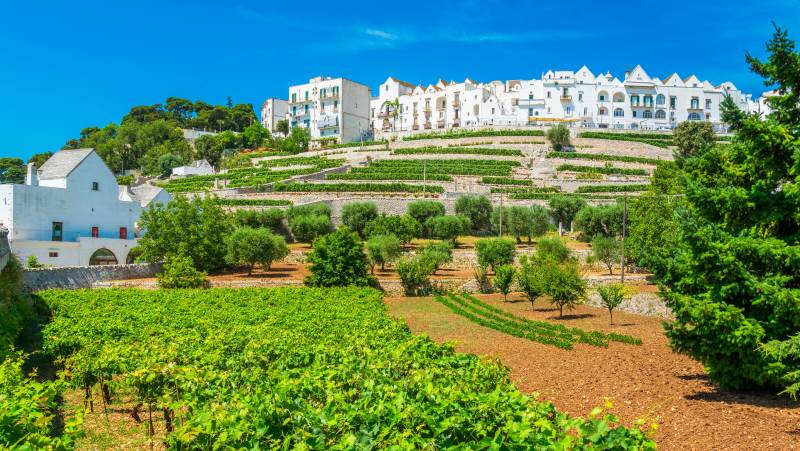 Journey through Puglia to Matera