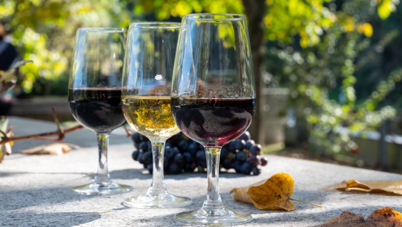 Tour the Treasures of Portugal