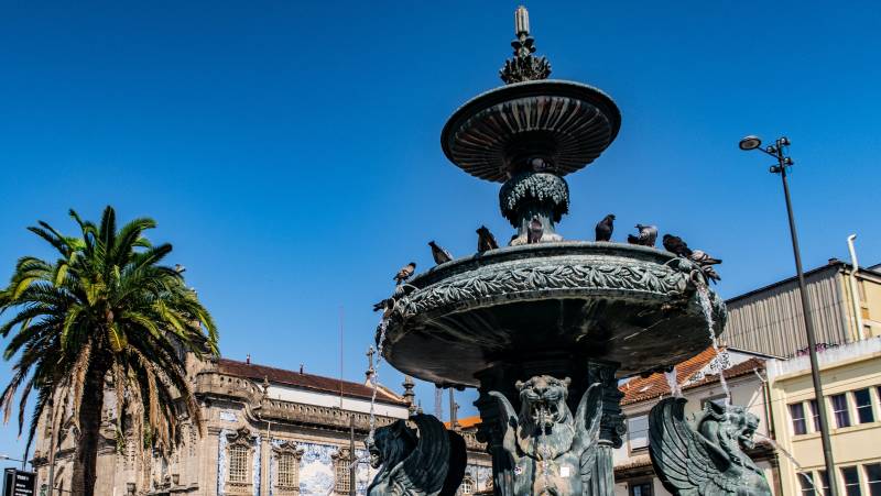 Tour the Treasures of Portugal