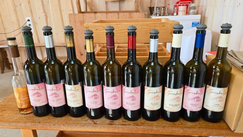 Walks of the Baltics and Finland