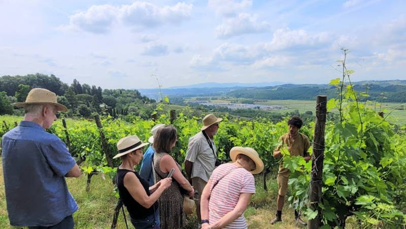 Discover Tuscany: Culture, Food & Wine