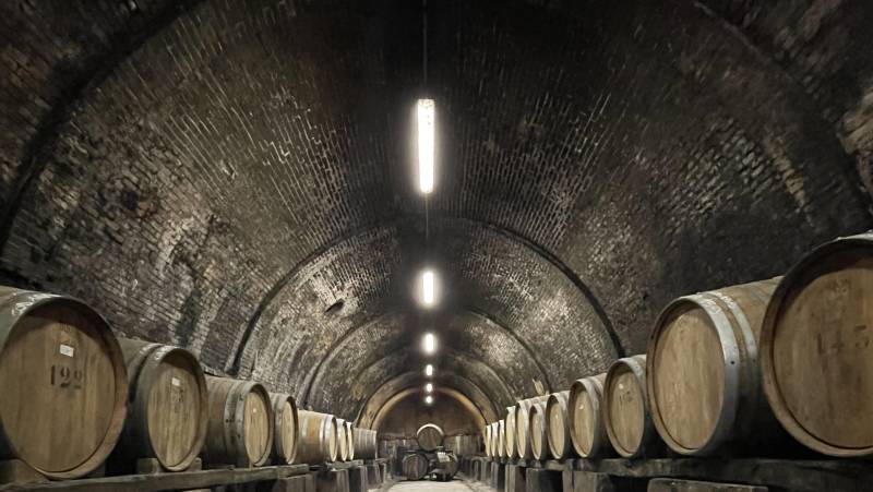 Discover Tuscany: Culture, Food & Wine