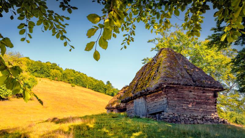 Walking in Transylvania and the Carpathian Mountains