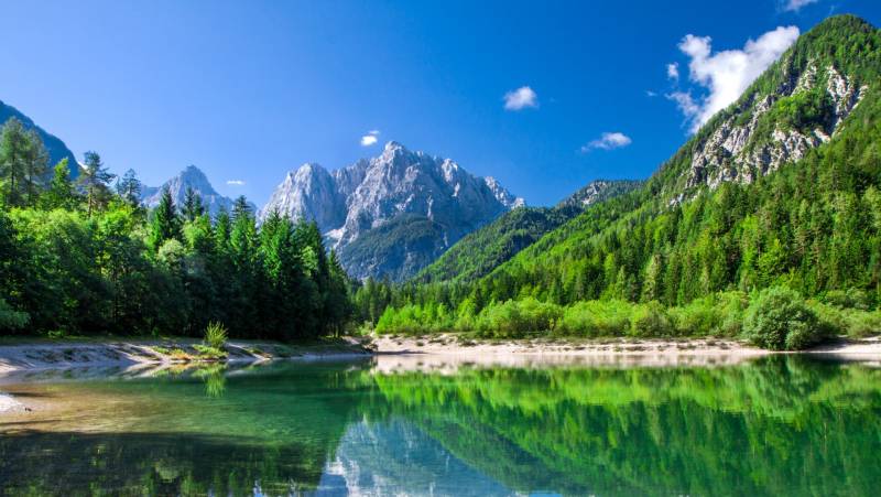 Lake Bled and Lake Bohinj Walk