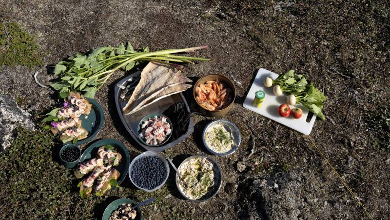 South Greenland Adventure: The Majestic Alpine Arctic