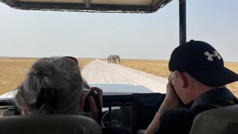 Botswana & Namibia: Delta & Dunes
