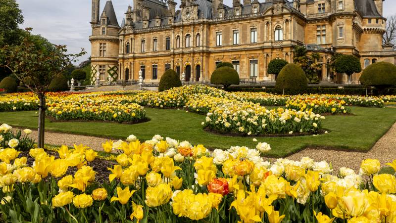 Cambridge to Oxford: WWII & Colleges – Private Group Adventure
