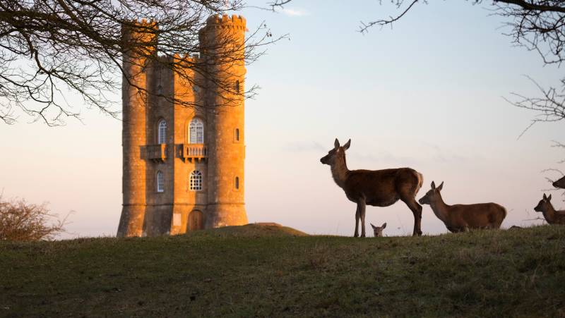 Walking the Cotswolds – Private Group Adventure