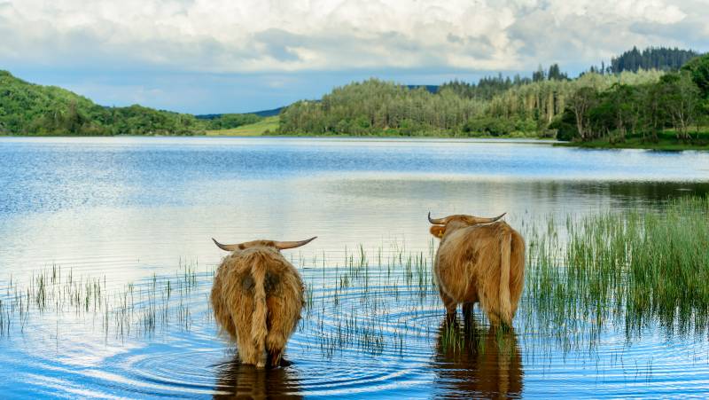 Classic Scotland: Edinburgh to the Highlands