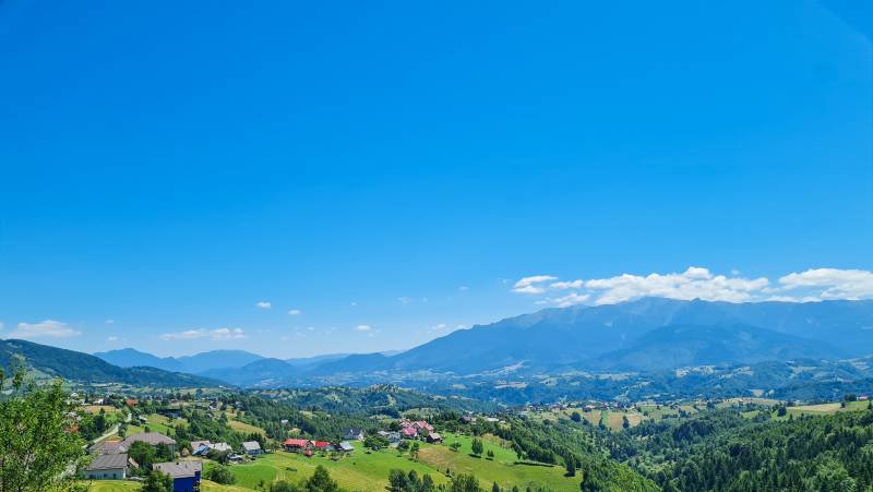 Carpathian Walking & Bears