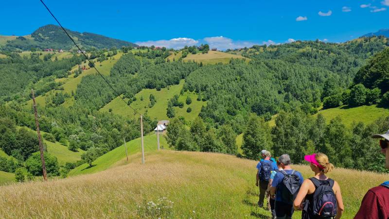 Carpathian Walking & Bears