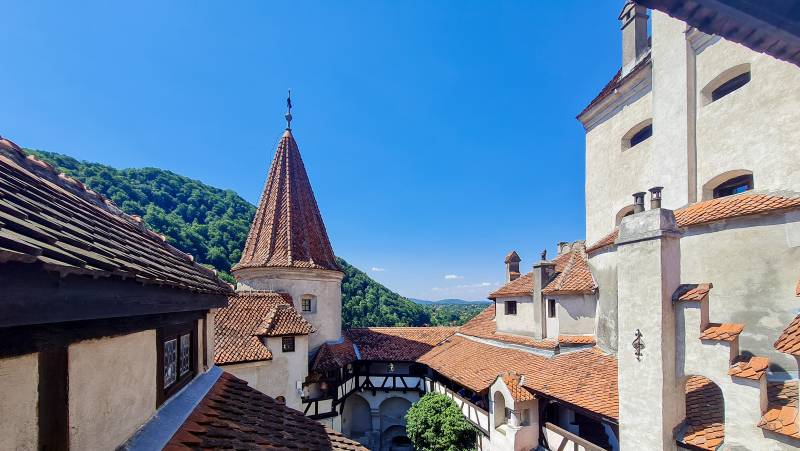 Carpathian Walking & Bears