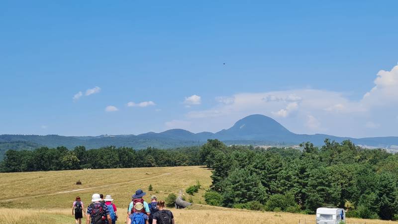 Carpathian Walking & Bears