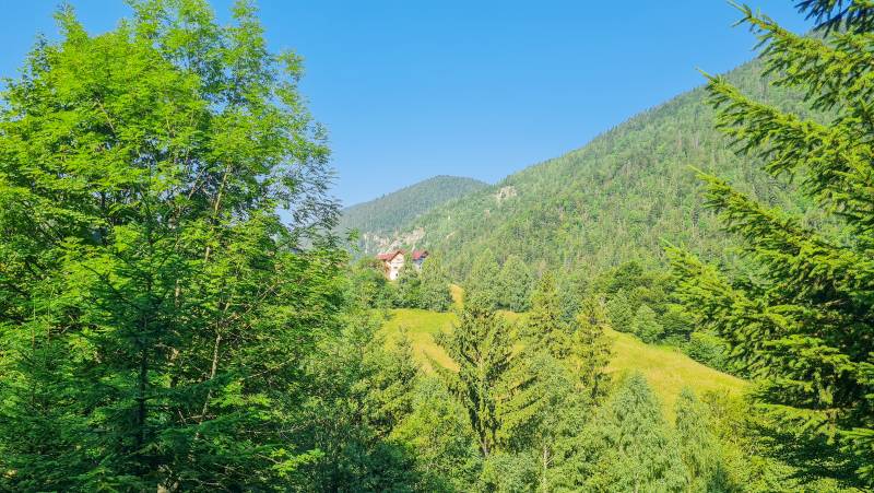 Carpathian Walking & Bears