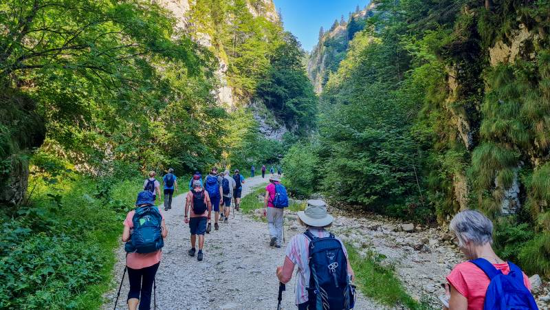 Carpathian Walking & Bears