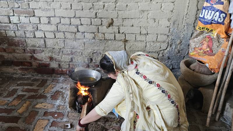 Foothills of the Himalaya