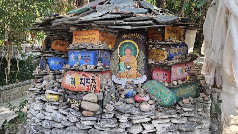 Foothills of the Himalaya