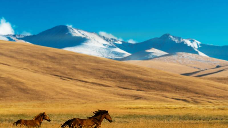 The Five Stans of the Silk Road – Ashgabat to Almaty