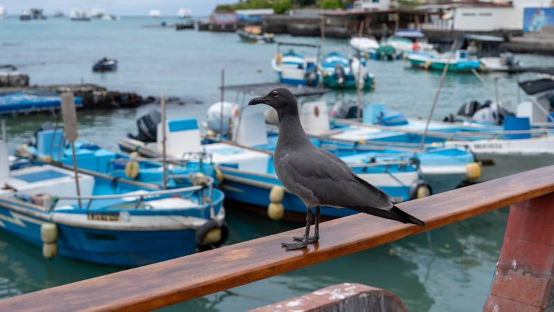 Galapagos Walking Adventure
