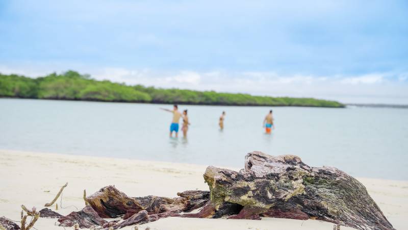 Galapagos Walking Adventure