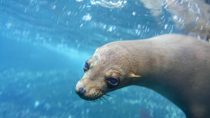 Galapagos Walking Adventure