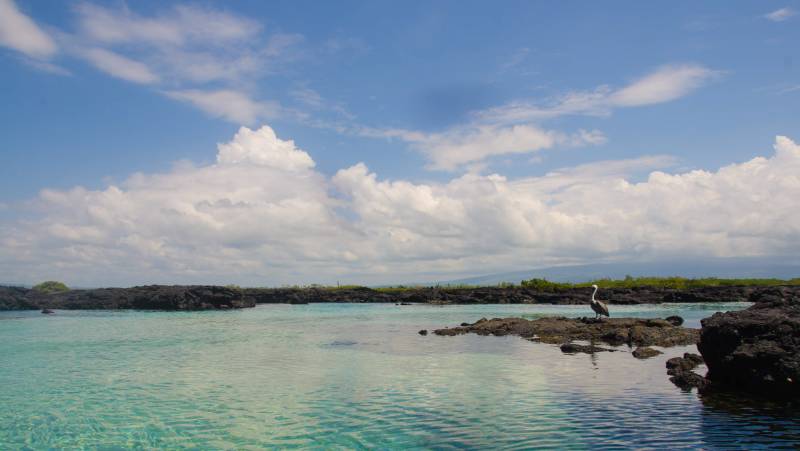 Galapagos Walking Adventure