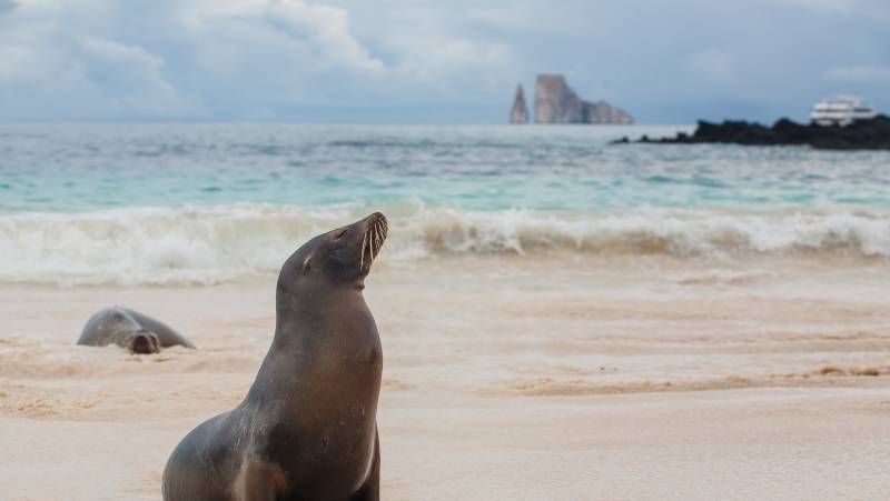 Galapagos Walking Adventure