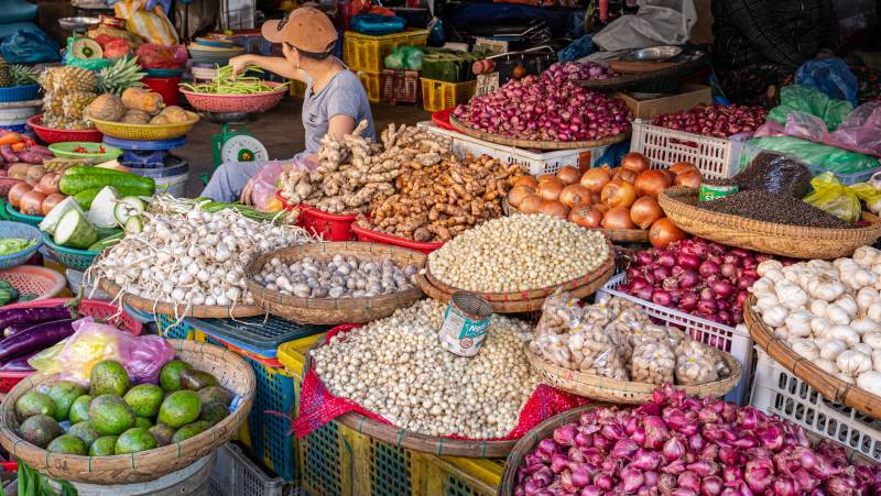 Best of Vietnam – Premium Family Adventure