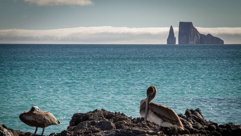 Galapagos Walking Adventure