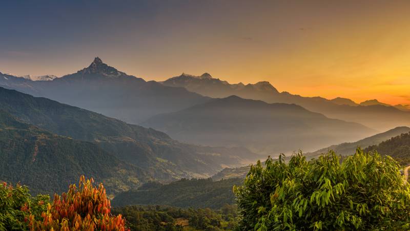 Annapurna to Chitwan: Walks & Wildlife