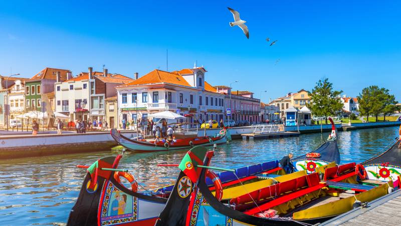 Discover Northern Portugal – Premium Adventure