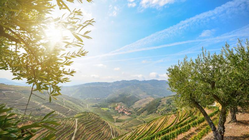 Discover Northern Portugal – Premium Adventure