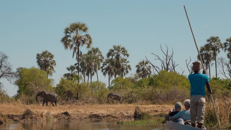 Wildlife & Wilderness of Botswana