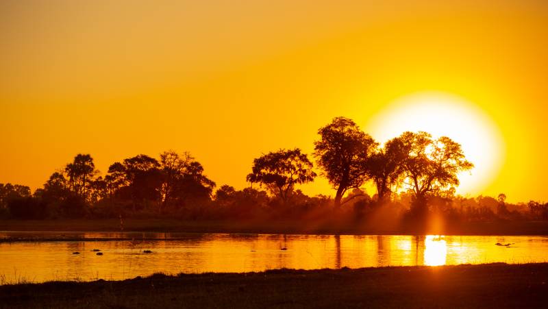 Wildlife & Wilderness of Botswana